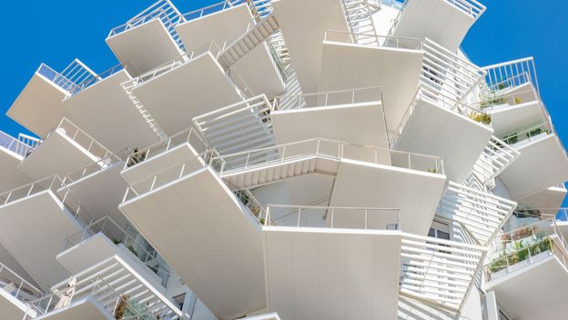 Bijelo stablo u Montpellieru - 5