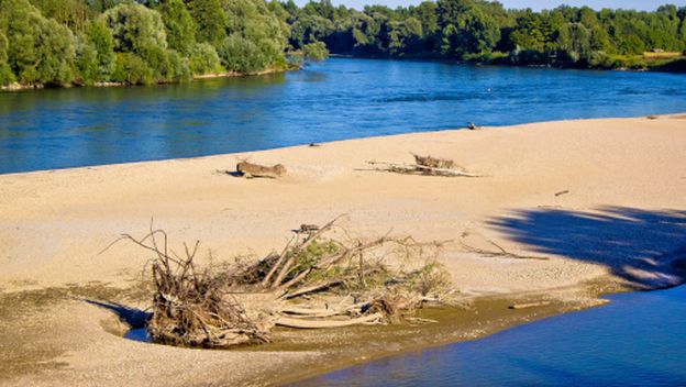 Drava