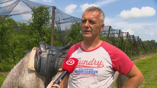 Damir Lučić, voćar
