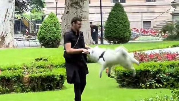 Čovjek i pas na Zrinjevcu