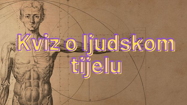Kviz o ljudskom tijelu