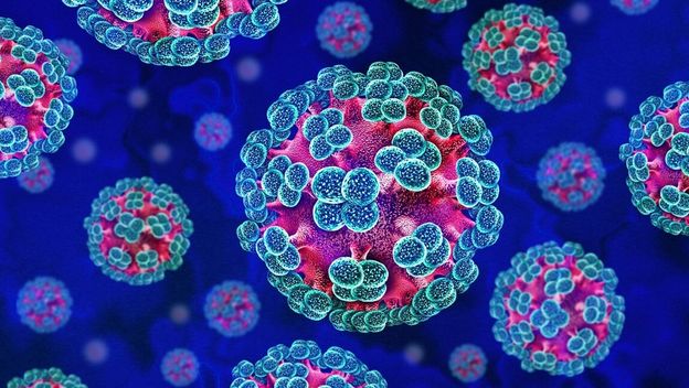 Hantavirus: Što uzrokuje i koji su simptomi opasne infekcije koja se širi nizozemskim kruzerom?