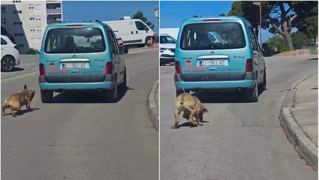 Vlasnik automobilom vuče psa na lancu