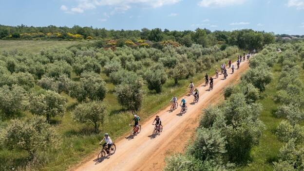 Gourm-E-bike Kaštelir-Labinci - 1