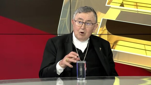 kardinal Vinko Puljić
