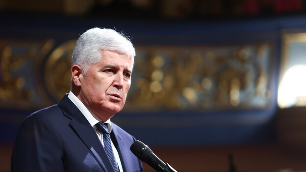 Dragan Čović, Predsjednik HNS-a BiH