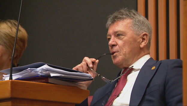 Ivan Turudić