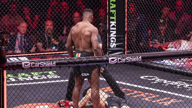 Francis Ngannou i Phillipe Lins