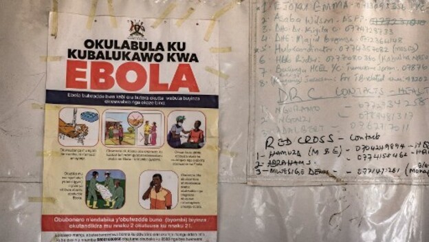 Ebola u Africi