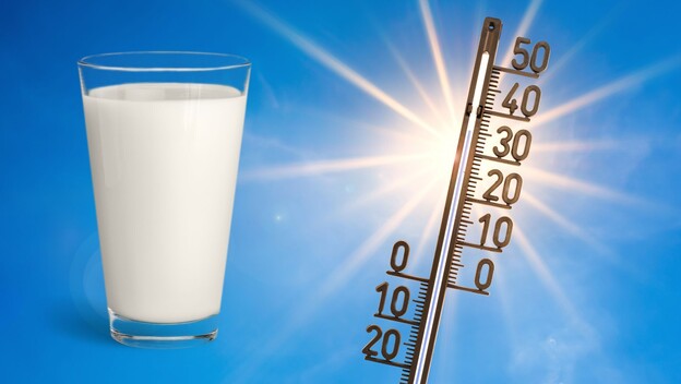 Mlijeko i termometar s visokom temperaturom