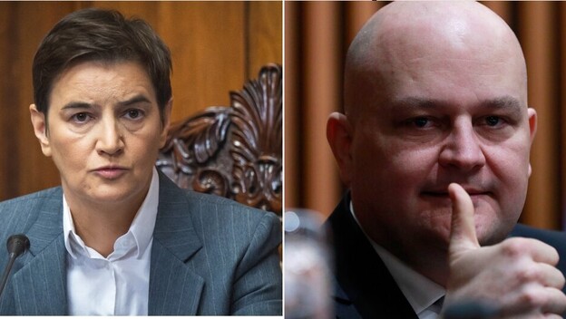 Ana Brnabić, Ante Šušnjar