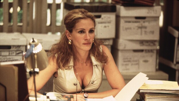 Julia Roberts kao Erin Brockovich