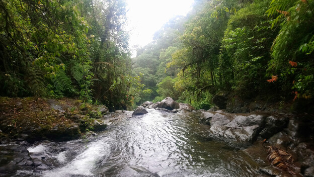 Darien Gap - 2