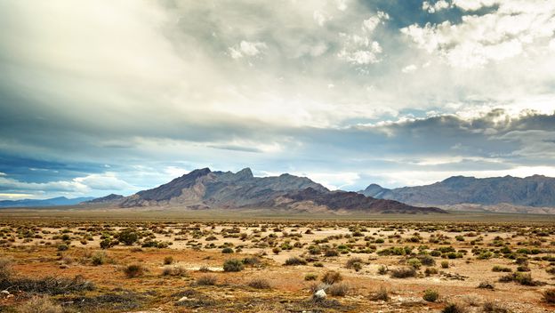 Pustinja Mojave