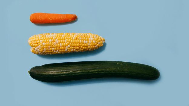 mrkva kukuruz i krastavac kao skala za usporedbu