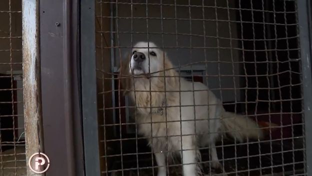 Provjereno: Udruga Indigo - 5