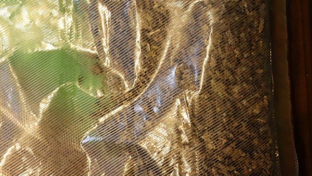 Zapljena u Varaždinu - 3