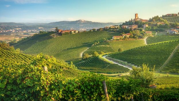 Pijemont je poznata vinorodna regija u Italiji