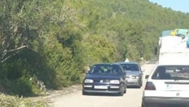 Kolona u prometu u Dalmaciji i starci koji obrezuju masline