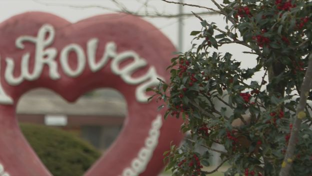 Nina Obuljen Koržinek o incidentu - 3