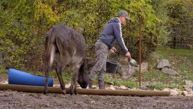 Novi problemi s vukovima - 1