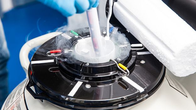 Klinika za umjetnu oplodnju, ilustracija