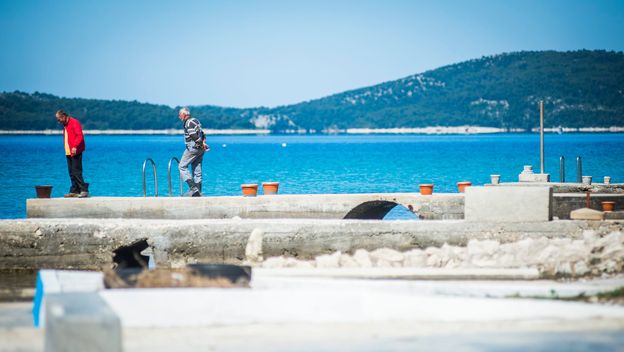 Žaborić, ilustracija