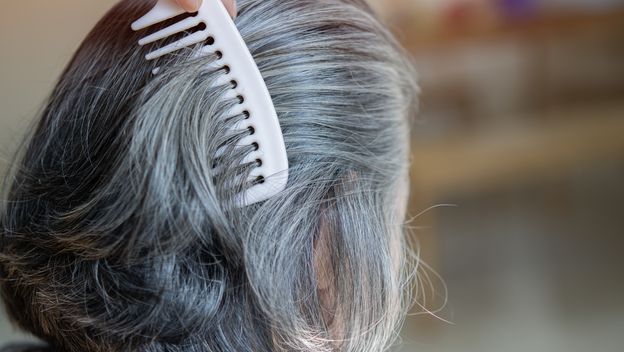 Kako se piše: sijediti ili sijedjeti