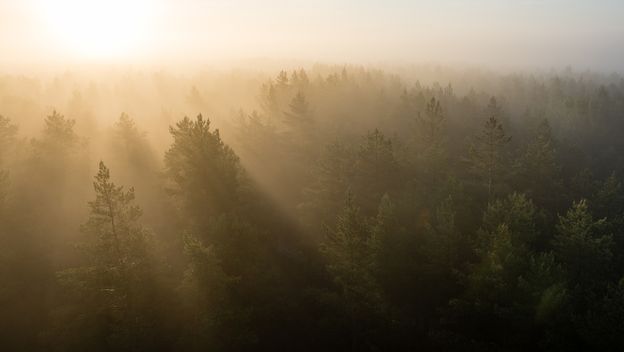 Vremenska prognoza; Ilustracija