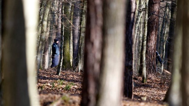 Policija; Ilustracija