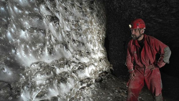 Paukova mreža u Albaniji