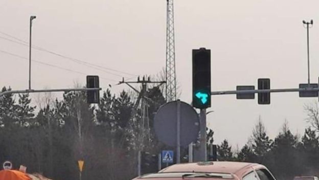 Bizarni način prijevoza drva u Poljskoj