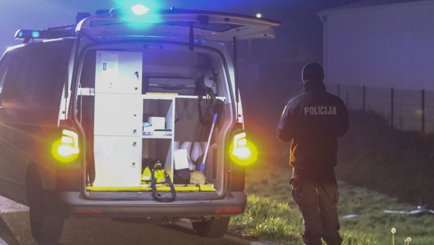 Policija u Svetom Ivanu Zelini, ilustracija