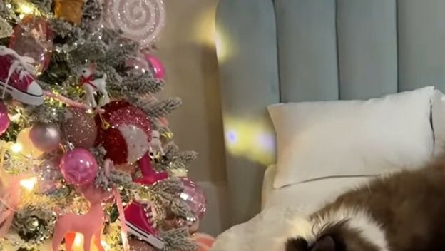 Maca Meredith Mae obožava Božić