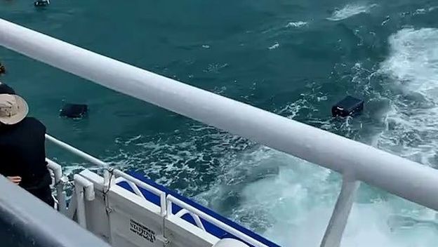 Prtljaga s broda završila u moru