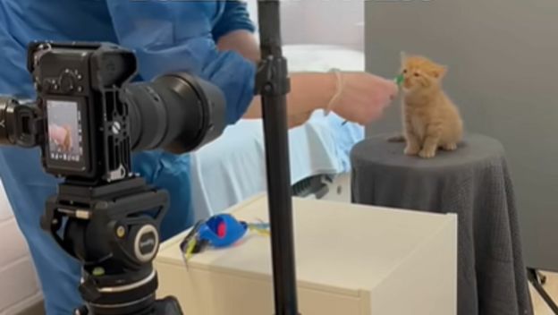 Mačić ma početku fotografiranja puta odrastanja