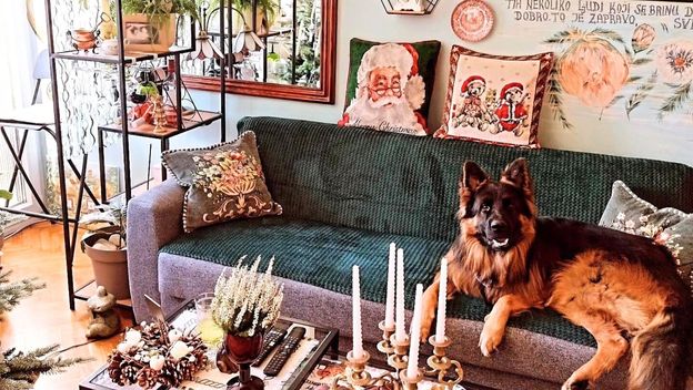 Stan Sonje Vranić iz Novog Sada izgleda poput male zemlje čuda