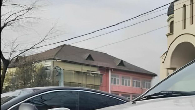 Neobičan ukras na haubi automobila