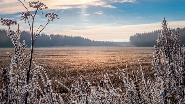 Vremenska prognoza; Ilustracija