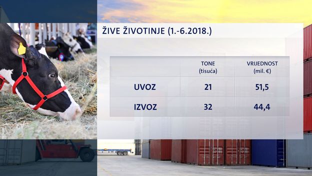 Uvoz i izvoz živih životinja u prvih šest mjeseci 2018. godine (Foto: Dnevnik.hr)