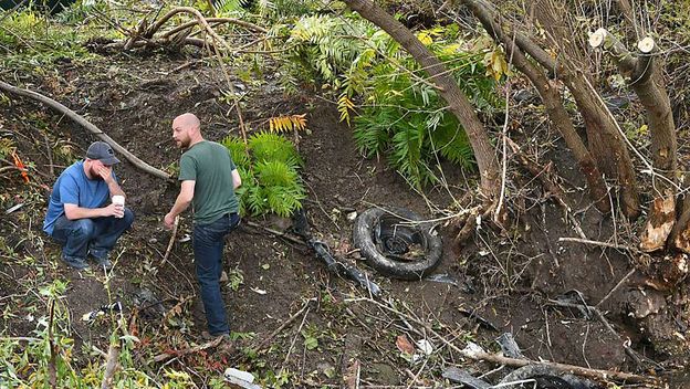 Prometna nesreća (Foto: AFP)