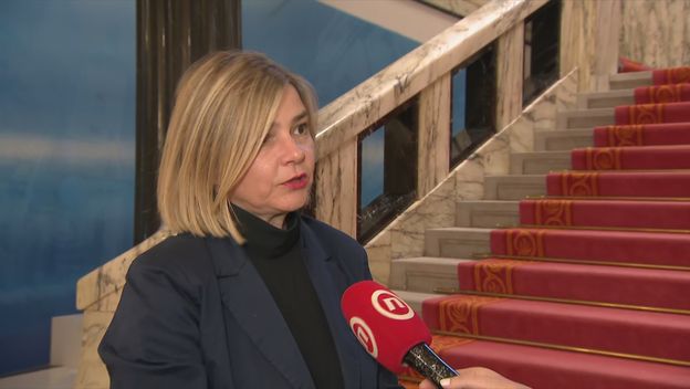 Sandra Benčić, saborska zastupnica