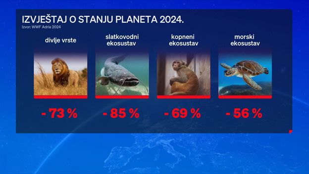 Izvještaj o stanju planeta 2024.