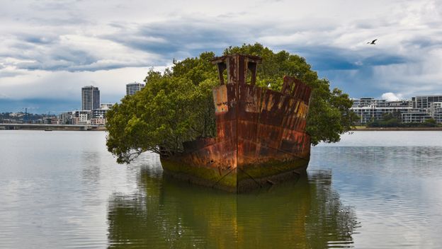 Homebush Bay - 3