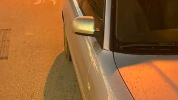 Tele koje viri iz automobila u Cisti Provo