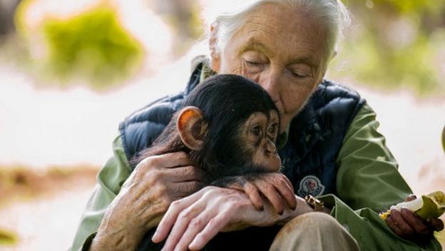 Jane Goodall - 3