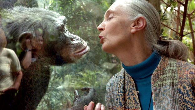Jane Goodall