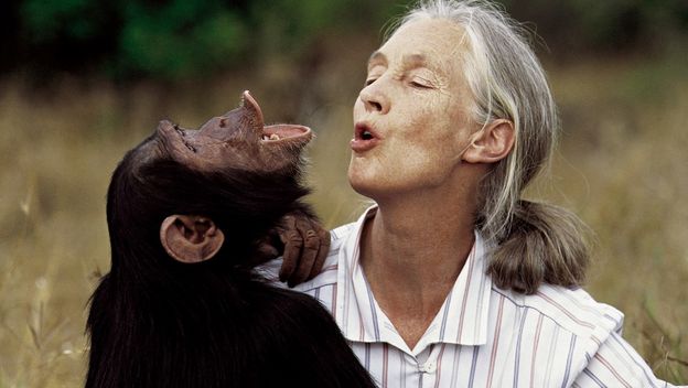 Jane Goodall