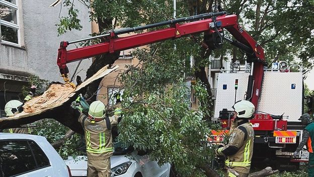 Bura ruši stabla u Splitu