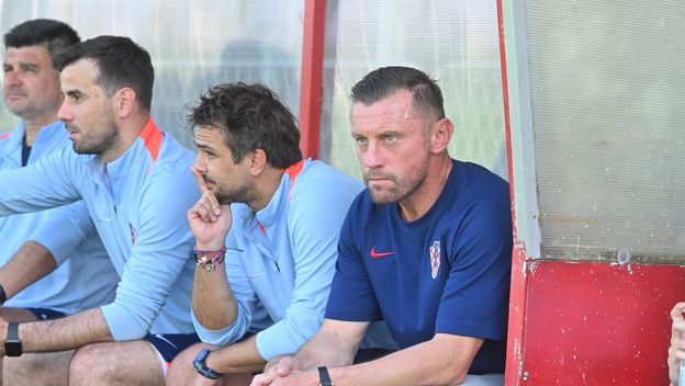 Ivica Olić i suradnici